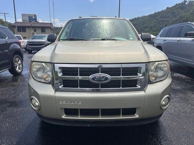 2012 Ford Escape 4WD 4dr XLT