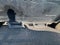 2022 Chevrolet Colorado Crew Cab Short Box 4-Wheel Drive Z71