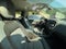 2022 Chevrolet Colorado Crew Cab Short Box 4-Wheel Drive Z71