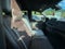 2024 Chevrolet Tahoe 4WD LS
