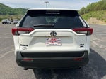 2020 Toyota RAV4 XLE AWD (Natl)