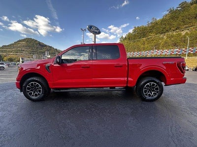 2023 Ford F-150 XLT 4WD SuperCrew 5.5' Box