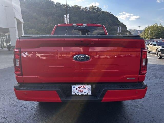 2023 Ford F-150 XLT 4WD SuperCrew 5.5' Box