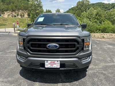 2023 Ford F-150 XLT 4WD SuperCrew 5.5' Box