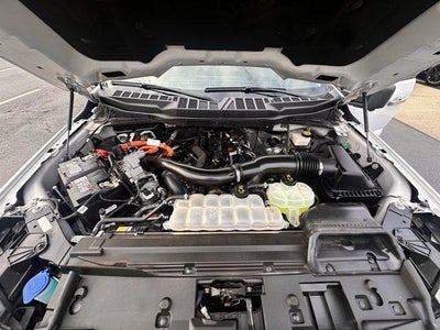 2024 Ford F-150 XLT 4WD SuperCrew 5.5' Box