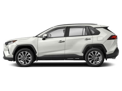 2019 Toyota RAV4 Limited AWD (Natl)