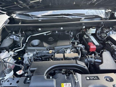2019 Toyota RAV4 XLE AWD (Natl)