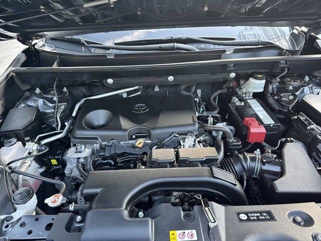 2019 Toyota RAV4 XLE AWD (Natl)