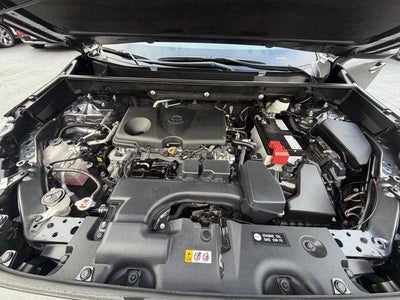 2024 Toyota RAV4 XLE AWD (Natl)