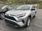 2024 Toyota RAV4 LE AWD (Natl)