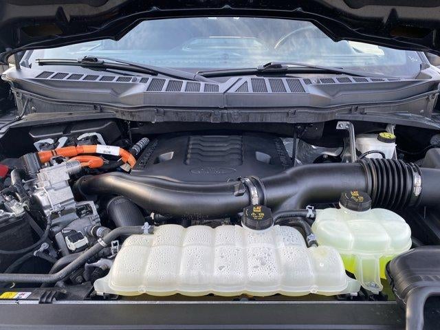 2023 Ford F-150 XLT 4WD SuperCrew 5.5' Box