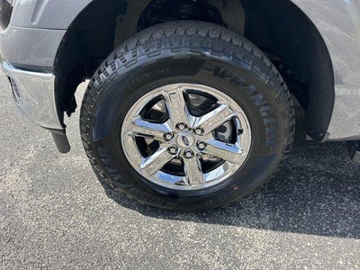 2025 Ford F-150 XLT 4WD SuperCrew 5.5' Box