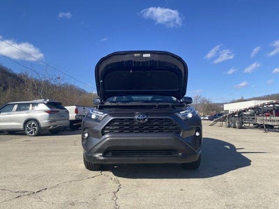 2023 Toyota RAV4 XLE Premium AWD (Natl)