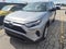 2025 Toyota RAV4 LE AWD (Natl)