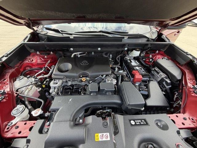 2023 Toyota RAV4 LE AWD (Natl)