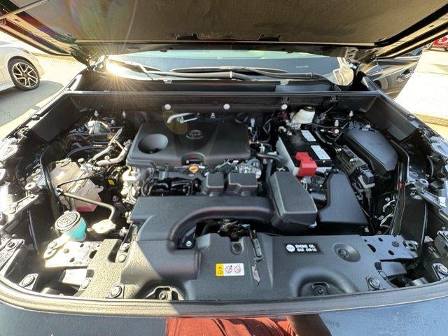2025 Toyota RAV4 XLE AWD (Natl)