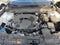 2025 Mazda Mazda CX-50 2.5 S Premium Package AWD